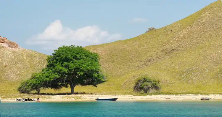 gili banta